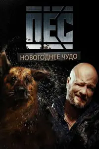 Никита Панфилов, Андрей Саминин, Михаил Жонин, Георгий
