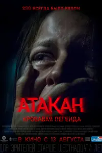 Ксения Плюснина, Владимир Кузнецов, Денис Лукичев, Анна